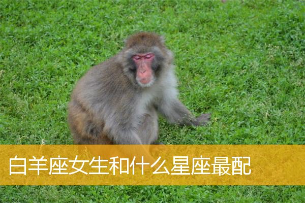 宠爱男友星座女生怎么办_最宠爱男友的星座女生_宠爱男友星座女生会怎么样