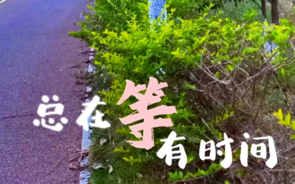 头像摆摊星座女生图片_摆摊星座头像女生_头像摆摊星座女生