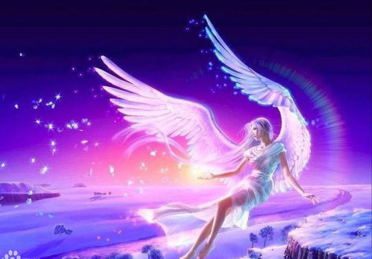 斑马的星座是什么女生_斑马星座限定射手座_斑马星座女生是什么样的