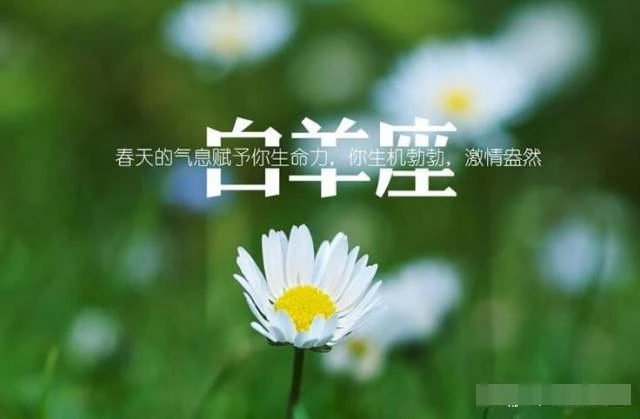 存钱能力最强的星座_储蓄能力最强的星座女生_最强的星座女