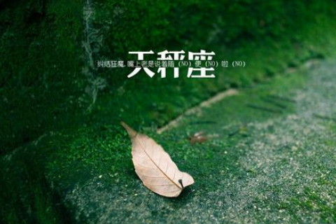 女生古风名字按星座_古风星座女生名字按姓氏排序_12星座古风名字女生