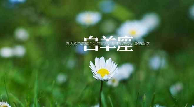 白羊女情感世界敏感，交往需体恤与包容，耐心为要