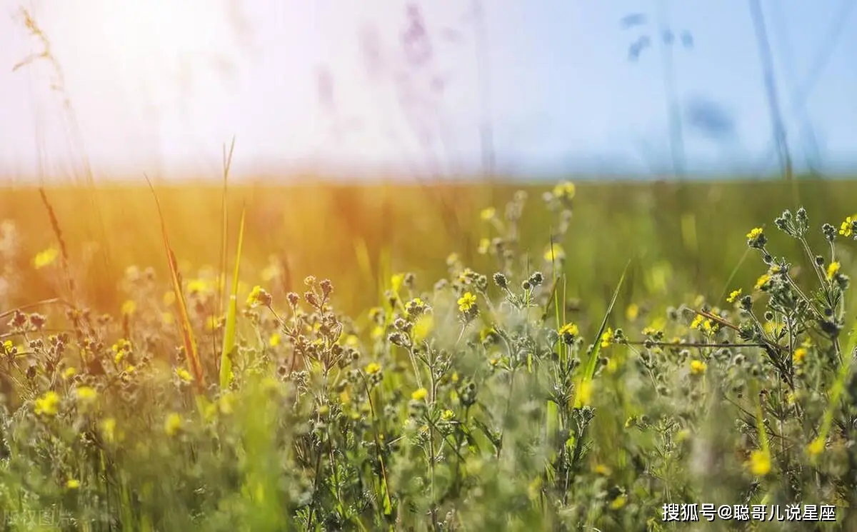黑白星座墙纸：时尚新潮，内心深处的追求