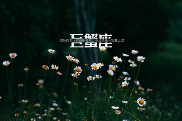 十二星座里最梦幻的女生，双鱼VS巨蟹：谁更迷人？