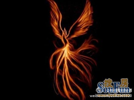 白羊VS金牛：火焰辫与优雅鱼骨，谁更引人注目？
