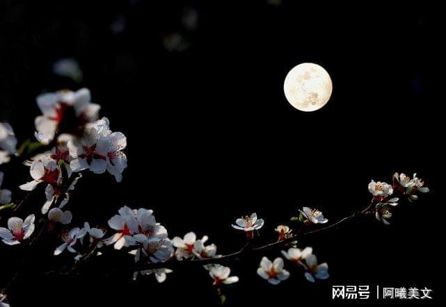 十二星座的女生辫子_星座的辫子_辫子星座女生图片