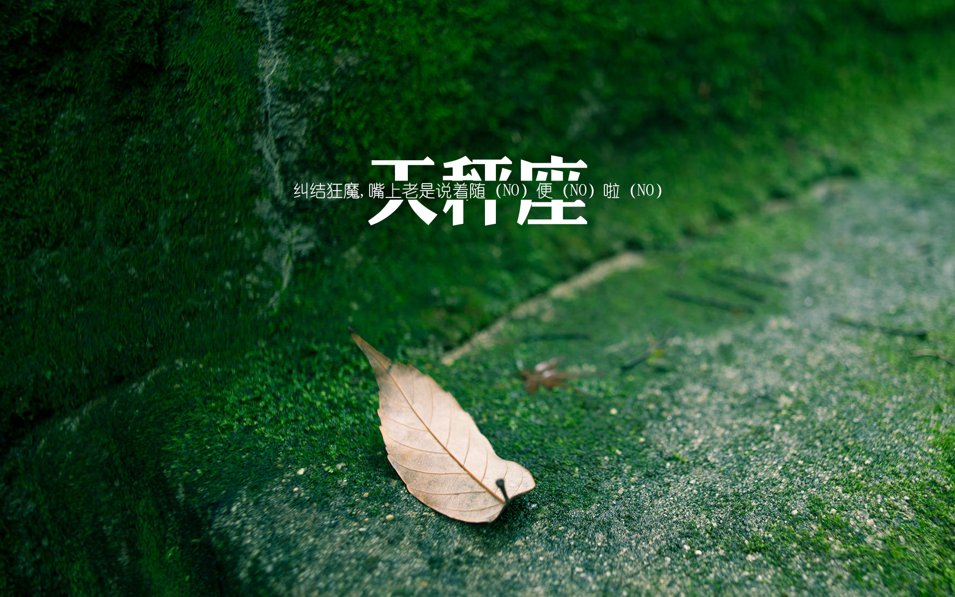 星座女神：独特韵味与高贵气质揭秘