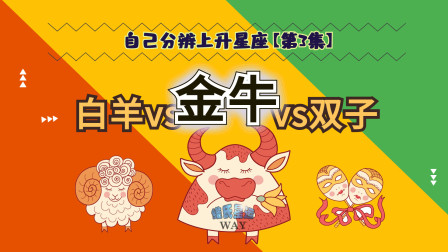 女生车标_车标像星座_十二星座的女生车标