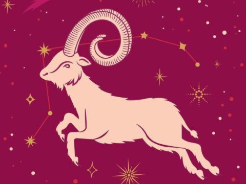 属牛的女生什么星座最好_最牛的星座女生_属牛女的星座