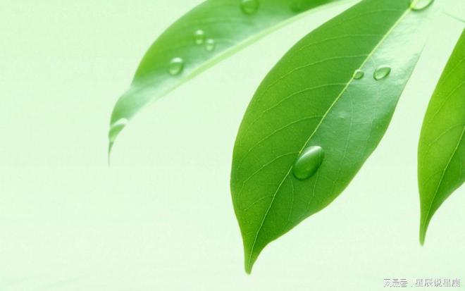 白羊女性：直言不讳的领袖魅力，海王星之梦想与现实挑战