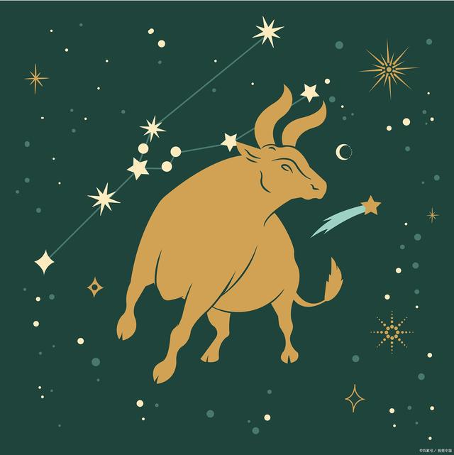 十二星座需要什么特长女生_特长星座女生需要学什么_特长星座女生需要什么东西