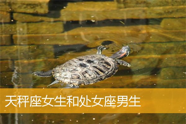 哪些星座男最害羞？他们的内心秘密揭晓