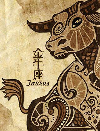 白羊女追爱无畏，金牛女温馨承诺，星座女性魅力对比
