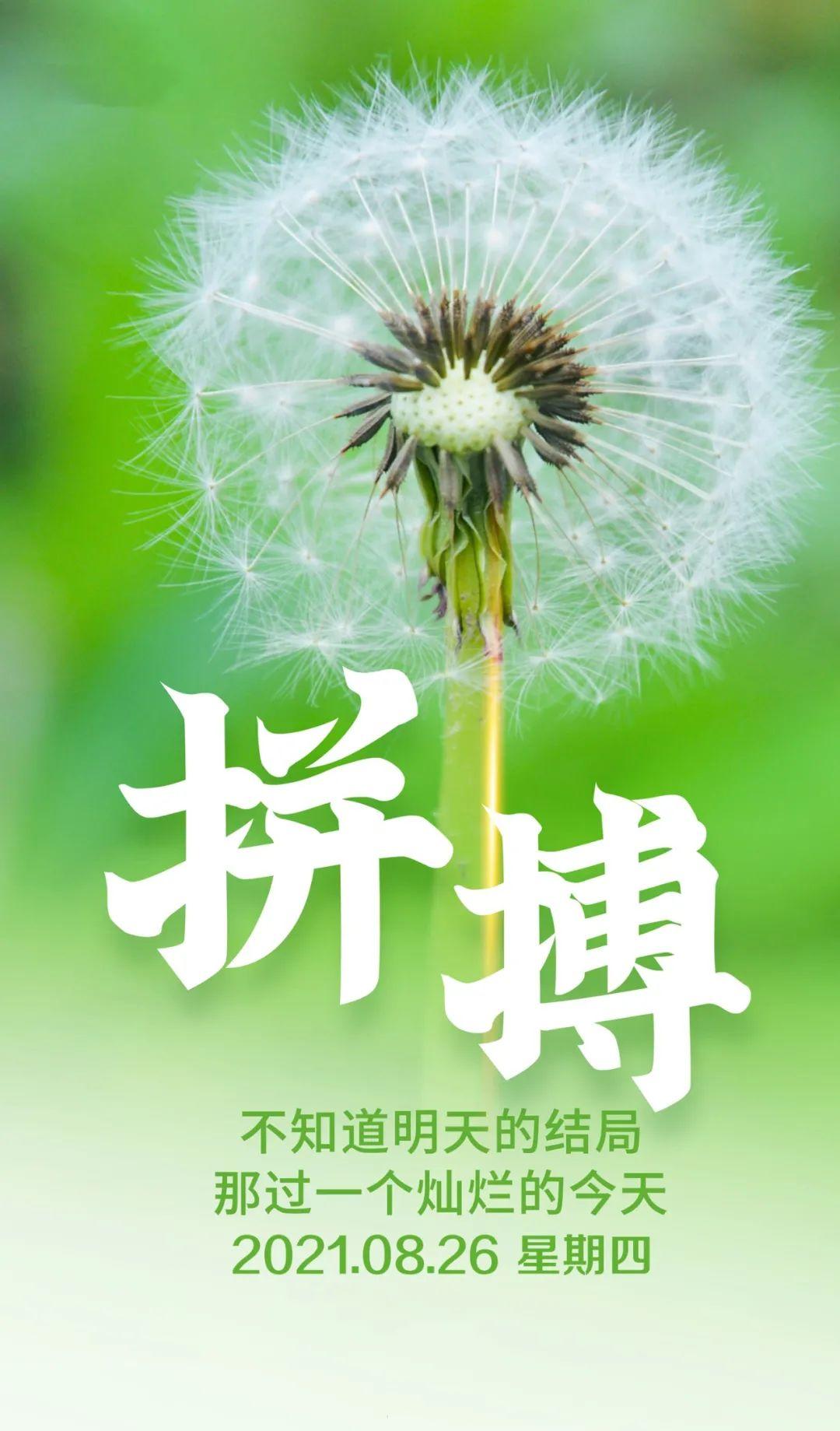 对待星座女生感情薄情怎么办_对待感情薄情的星座女生_对待星座女生感情薄情吗