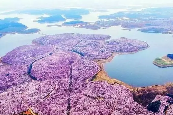 和风有关的星座名字女生_跟风有关的星座_关于风的星座