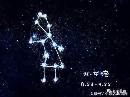 算命星座是利用什么效应_星座算命有一定科学依据对吗_女生靠算命星座度过