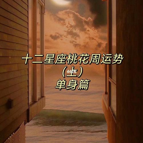 什么星座女孩喜欢_星座女喜欢类型_喜欢用道理的星座女生