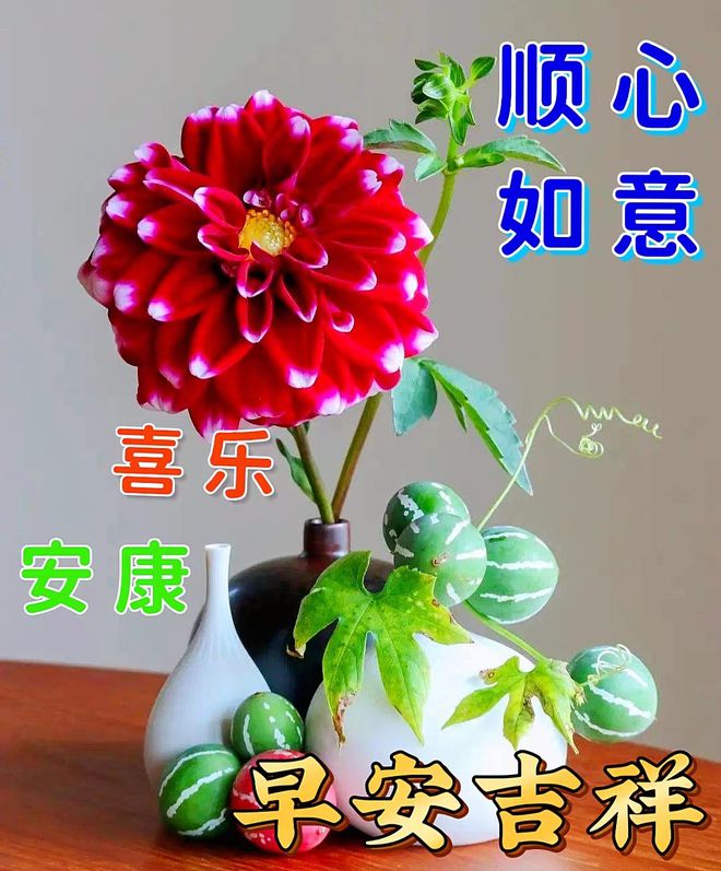 最长寿星座女_哪个星座最长寿排名_十二星座女生谁最长命