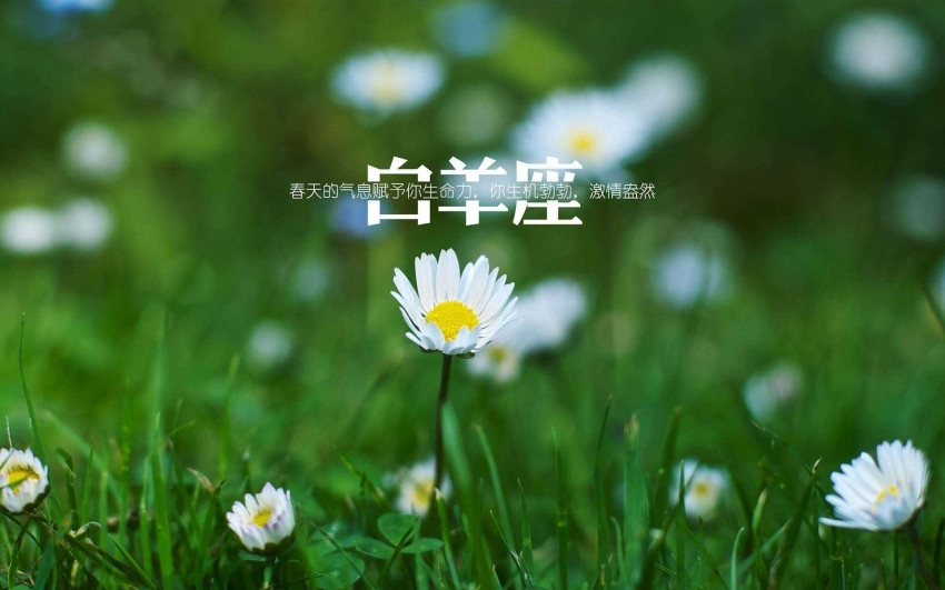 人生是一场错过愿你别蹉跎_不愿将就女生是什么星座_射手座女生最配星座