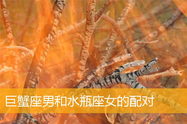 黑得最惨星座排行女生_十二星座黑的最惨的星座_黑得最惨的星座