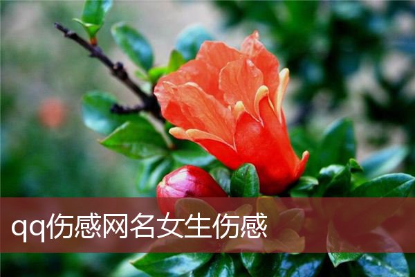 各个星座个性网名女生霸气_网名霸气星座个性女生2个字_网名霸气女生超拽