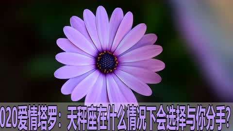 可以搞定天秤的星座女生_搞定天秤星座女生可以吗_搞定天秤星座女生可以做朋友吗