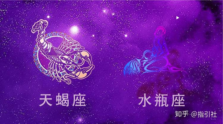 星座玩具推荐知乎女生_12星座玩偶_爱玩的星座女