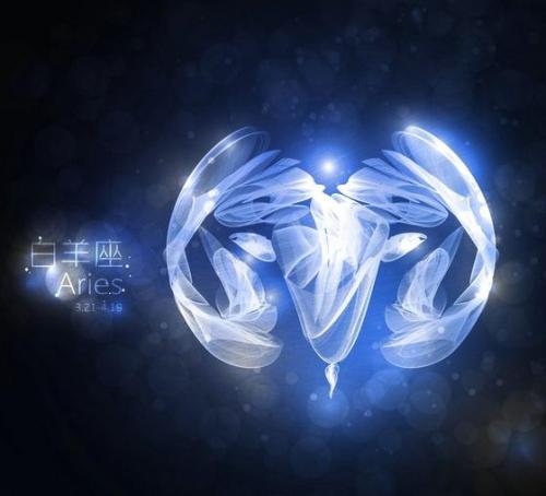 猫性格女人特质的星座_猫星座女生性喜欢男生吗_什么星座喜欢猫性女生