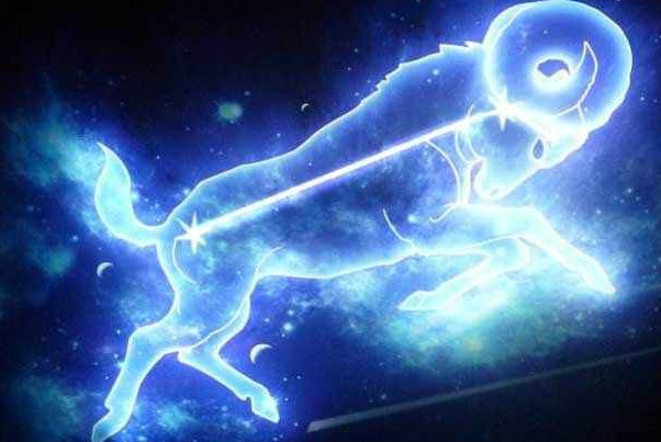 什么星座喜欢猫性女生_猫星座女生性喜欢男生吗_猫性格女人特质的星座