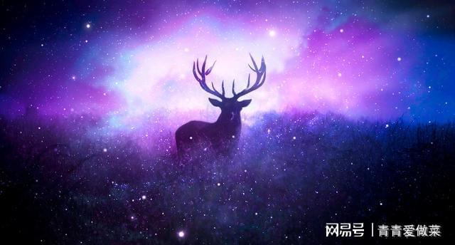 有腹肌的12星座排名_腹肌星座女生照片_腹肌超多的星座女生