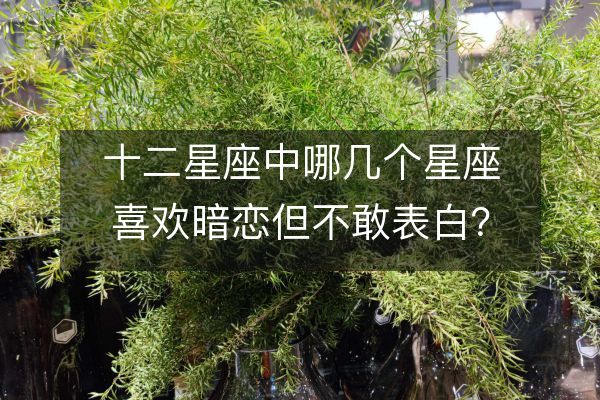 暗恋背景图文字_星座壁纸文字暗恋女生_暗恋壁纸图片唯美