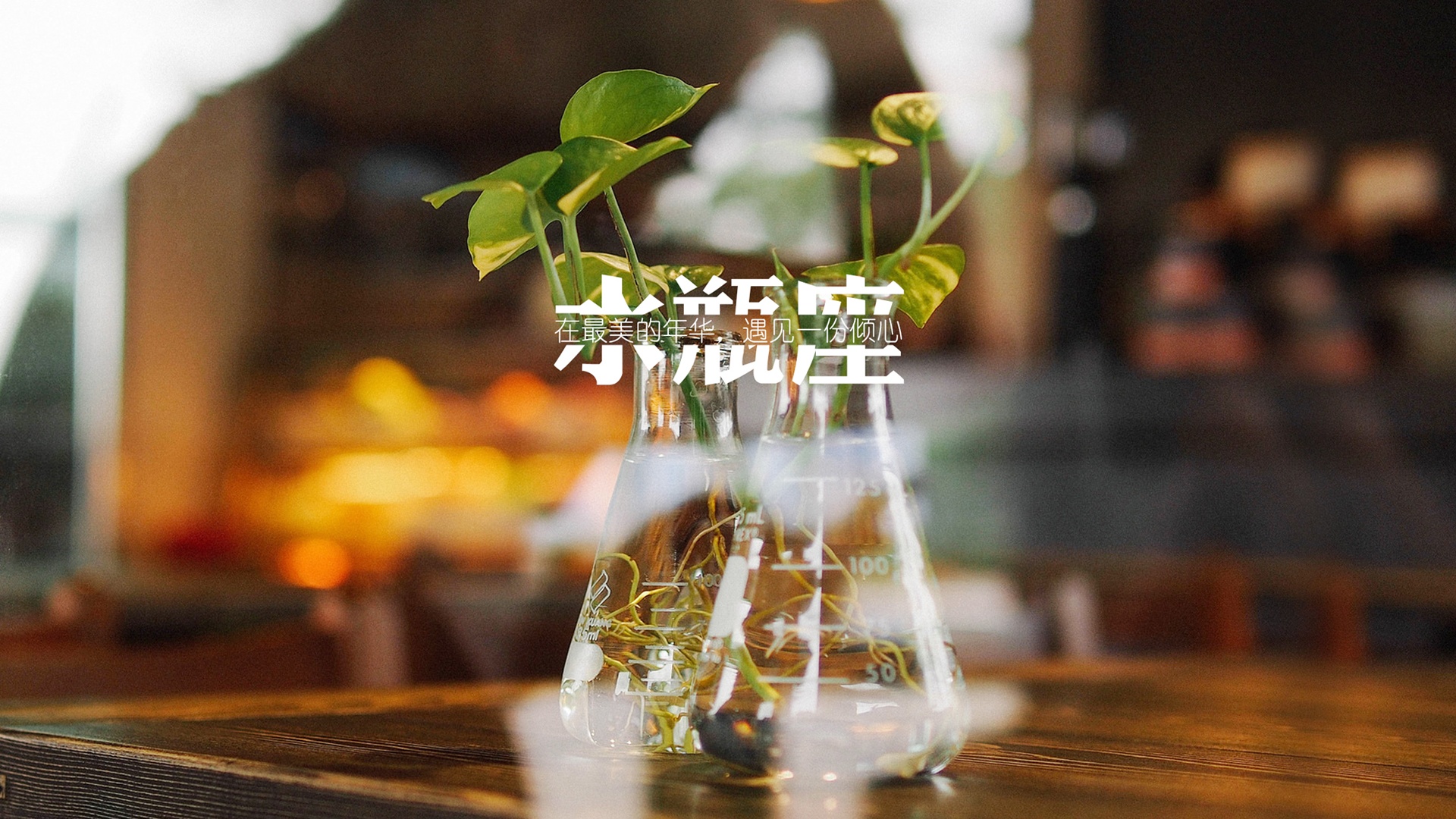 星座壁纸新风潮：个性化设计引领女性装饰革命